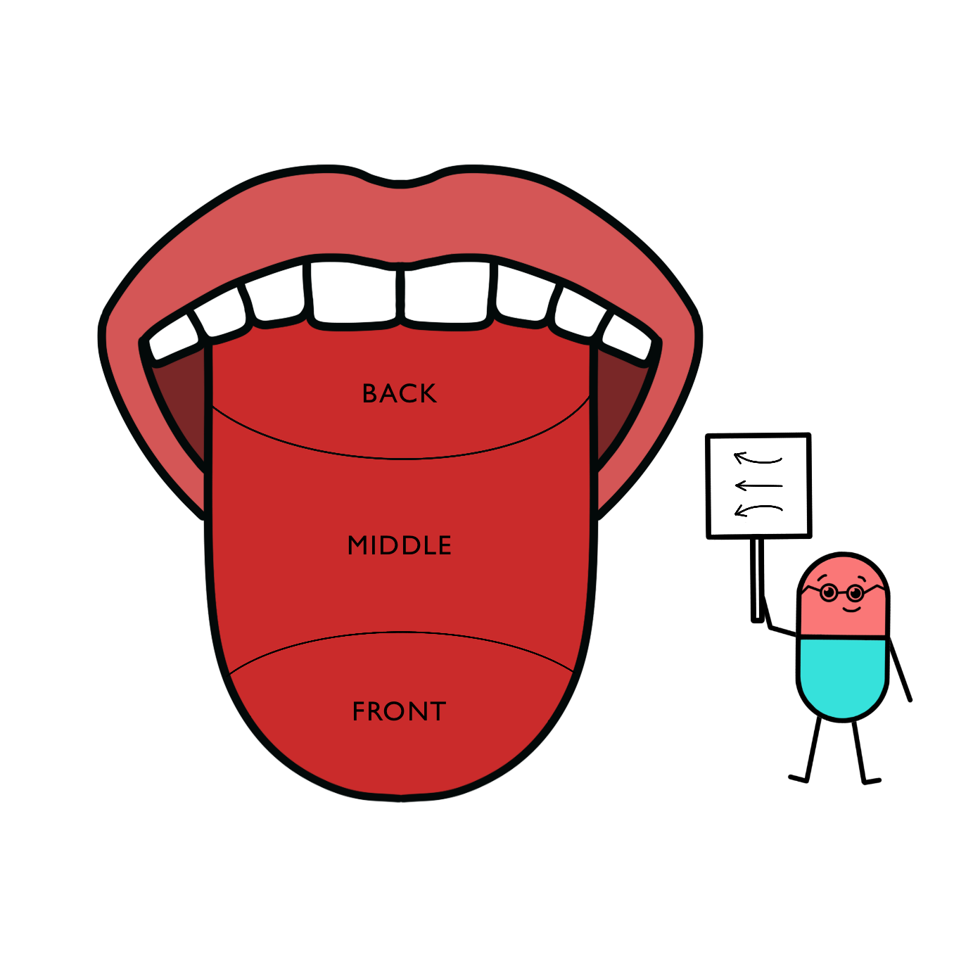 How to swallow pills: Pill Placement Labeled Tongue